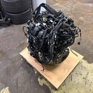 Ford Focus 2.3 EcoBoost Engine 2019